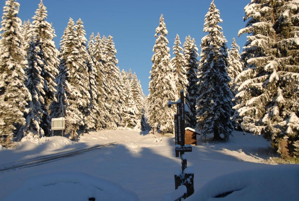 Hôtel Chalet Le Caribou Les Saisies Buitenkant foto