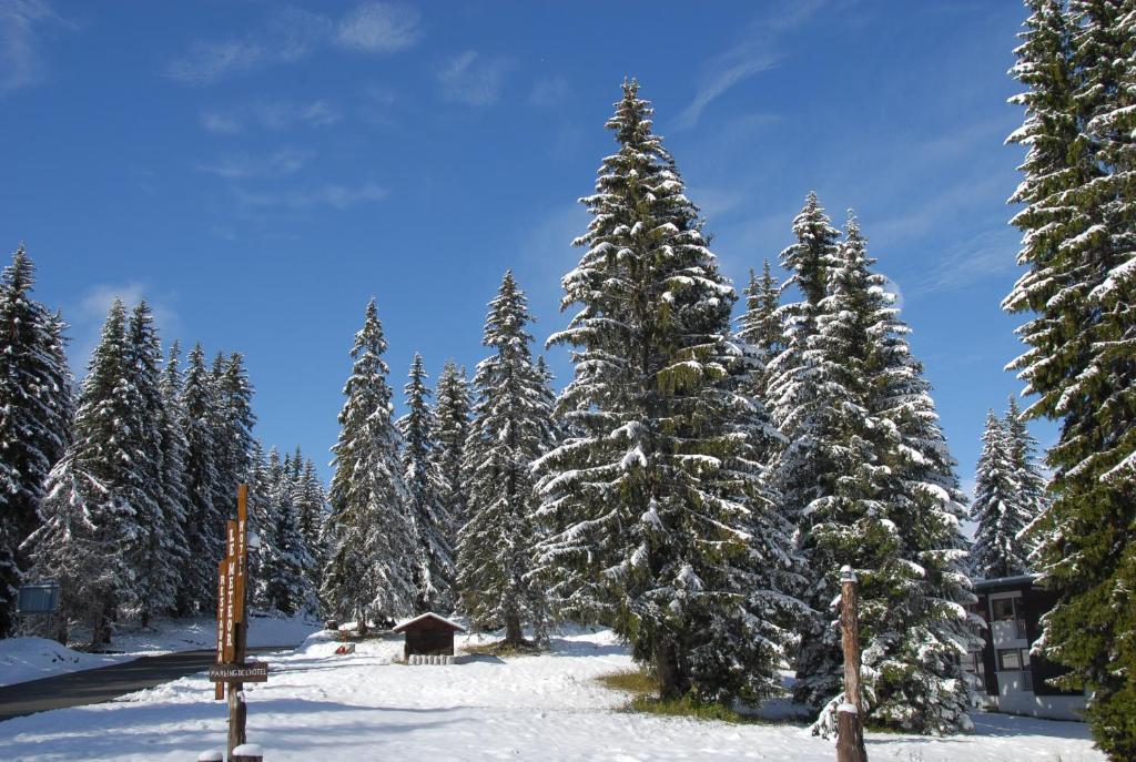 Hôtel Chalet Le Caribou Les Saisies Buitenkant foto